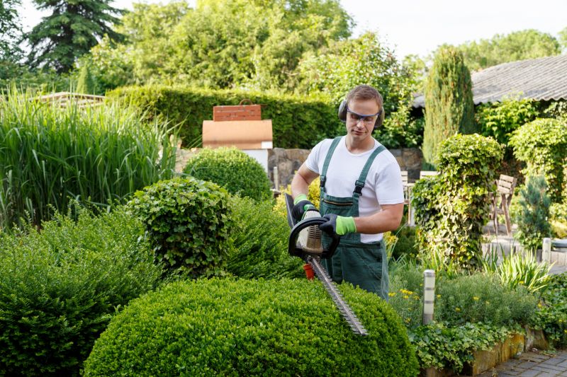 Commercial Shrub Maintenance