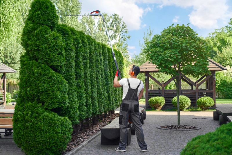 Commercial Shrub Maintenance