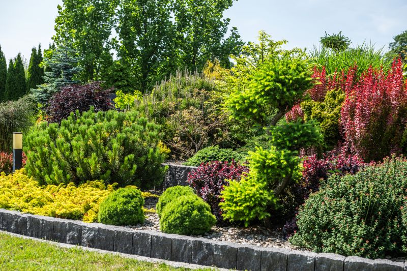 Commercial Shrub Maintenance
