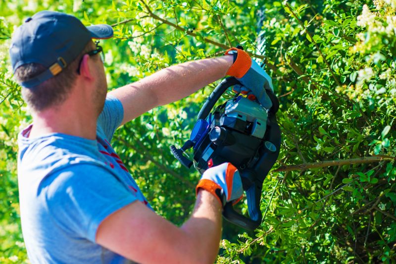 Commercial Shrub Maintenance